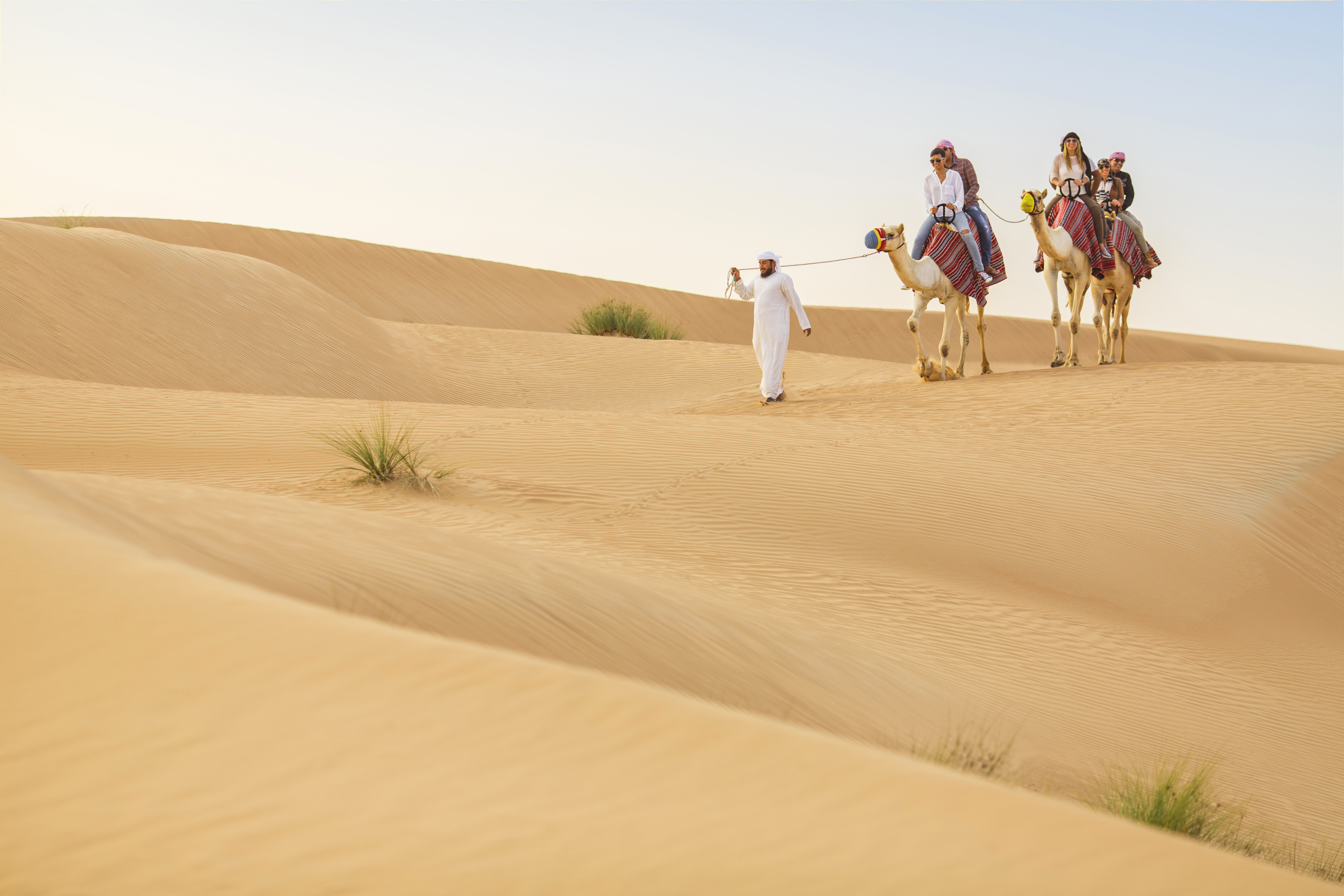 Desert safari. Дубай Дезерт сафари. Desert Safari Дубаи. Сафари Дубай экскурсия. Экскурсия сафари в пустыне Дубай.