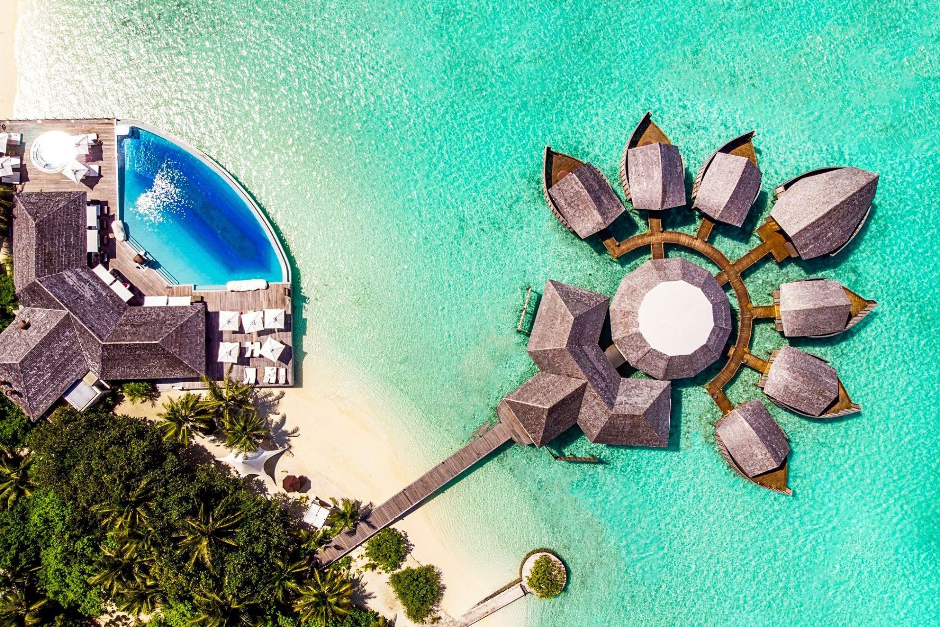 Lily beach maldives схема отеля