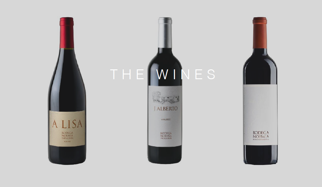 Bodega Noemia – from Heart - Luxury Luxury Wine the Lifestyle of Awards Argentina