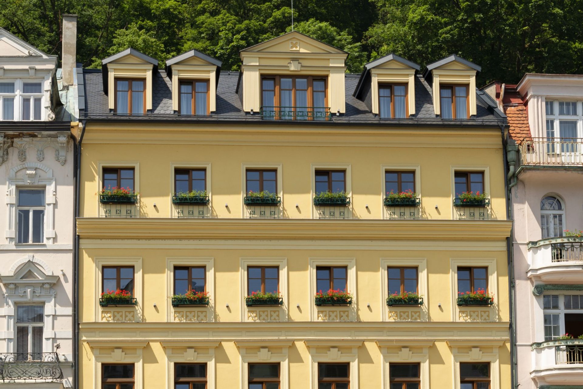 Luxury Spa & Wellness Hotel