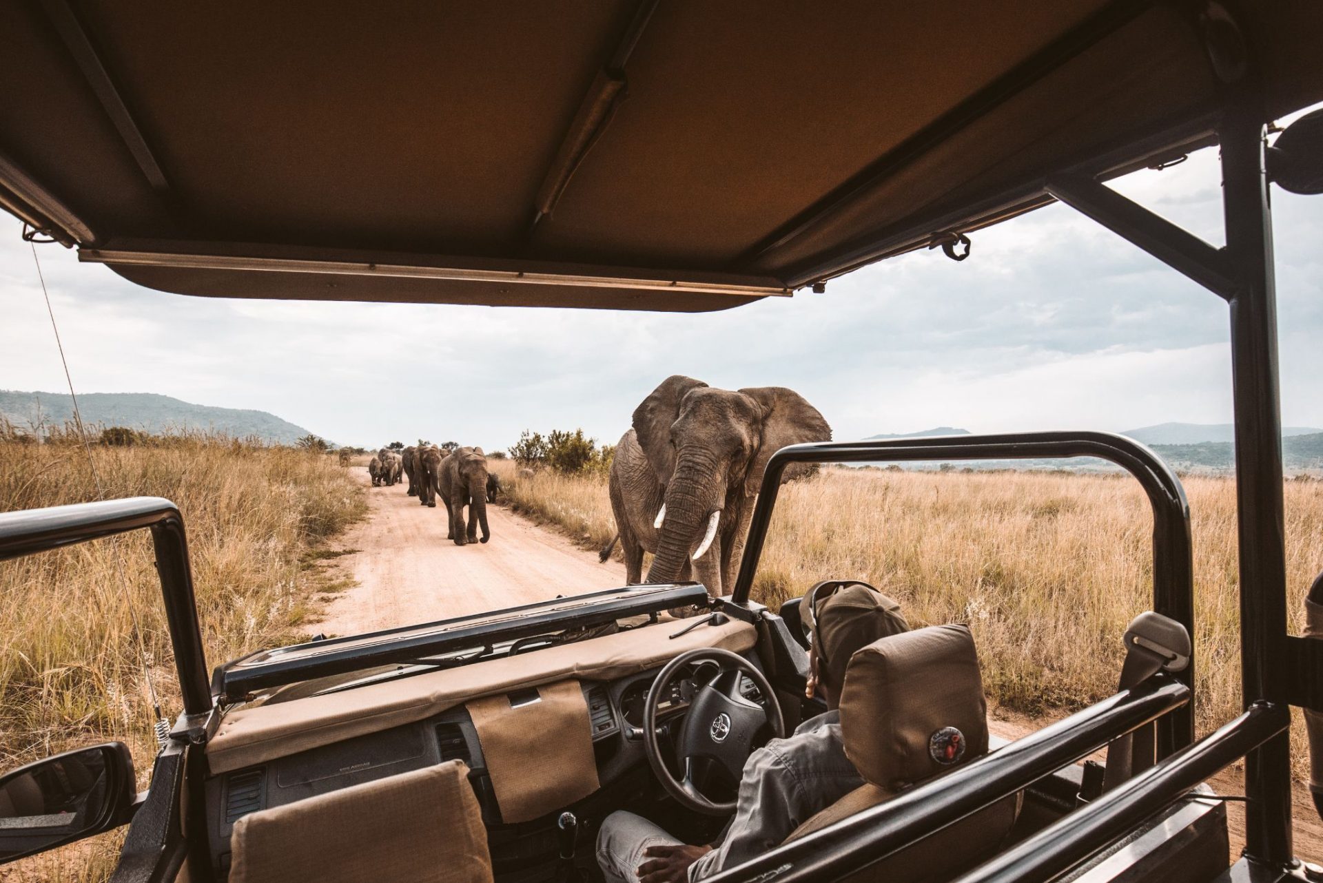 Safaris
