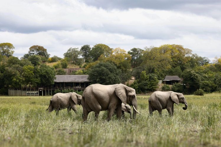 Luxury Wilderness Lodge in Zambia