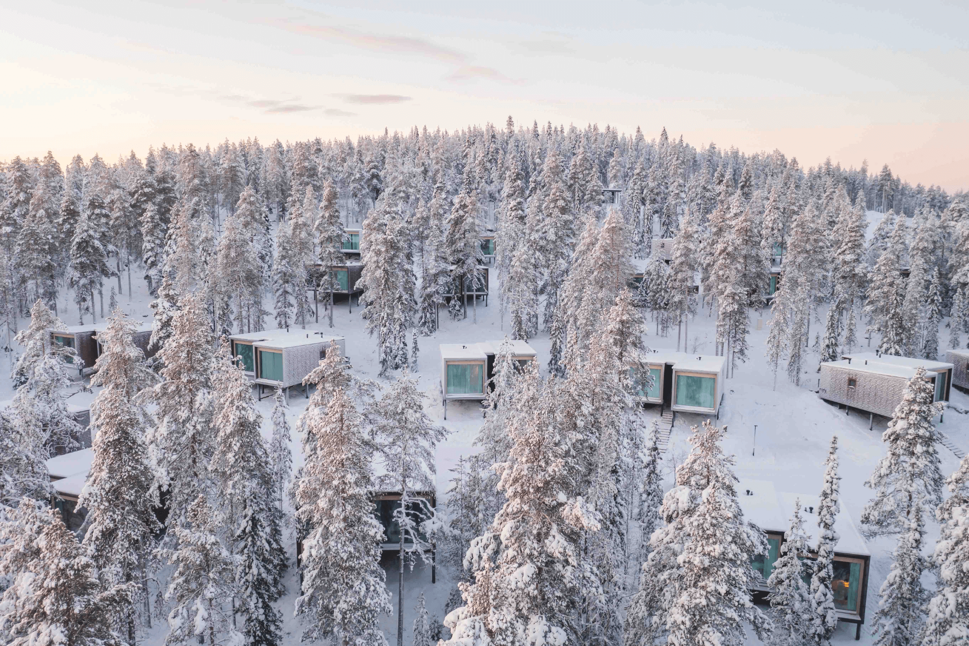 Arctic TreeHouse Hotel