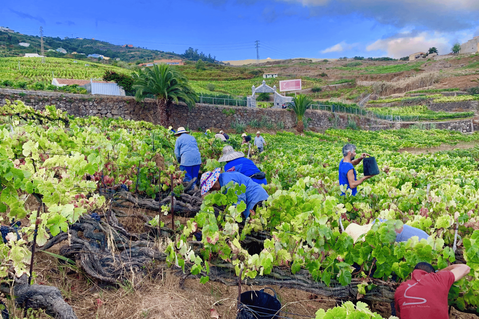 Winery