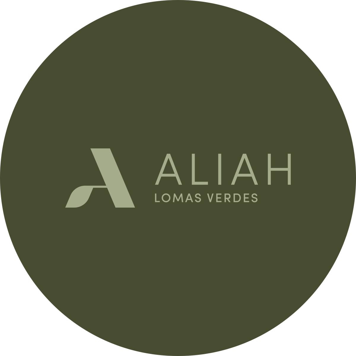 Aliah Developments