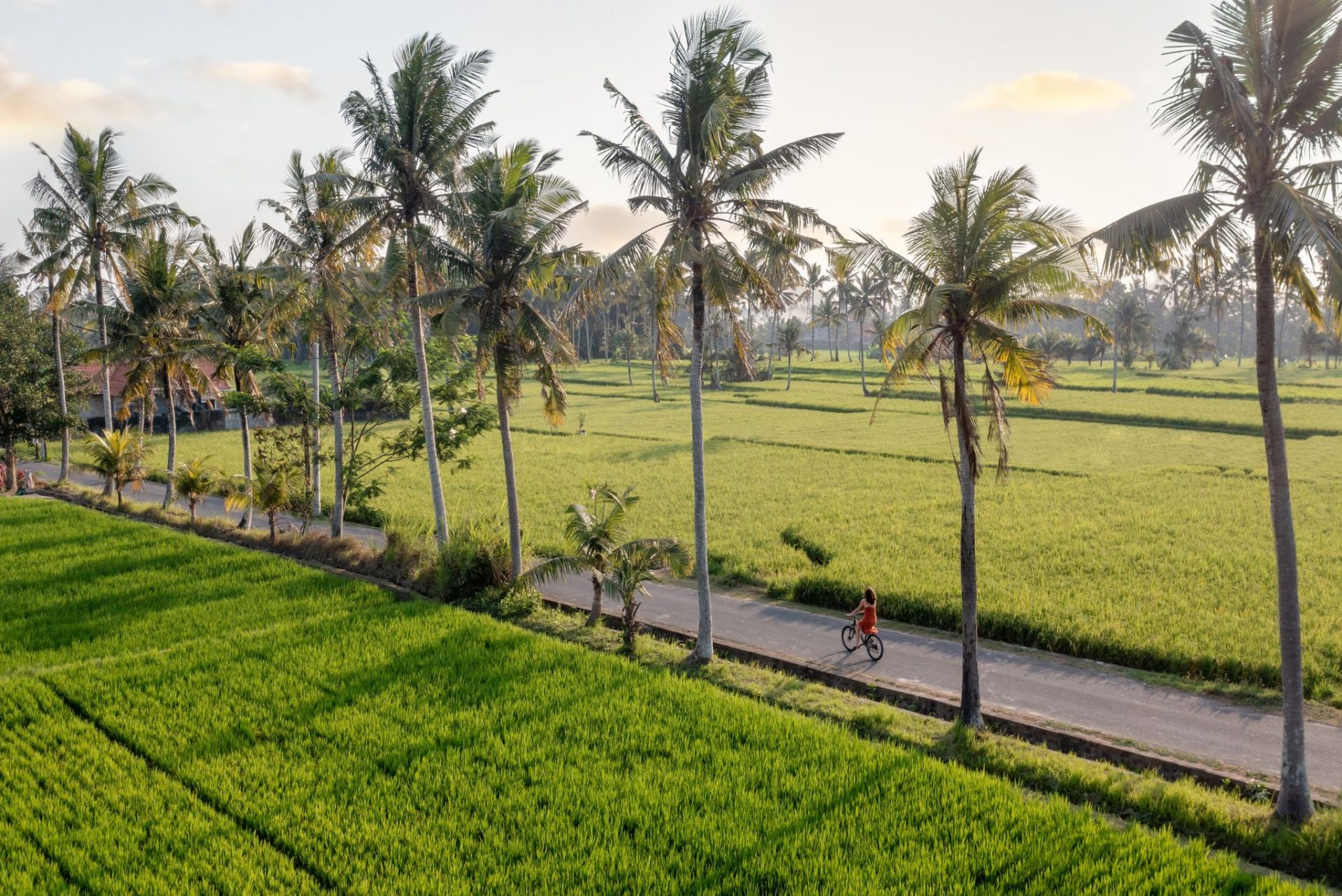 Best Luxury Romantic Resort in Ubud,