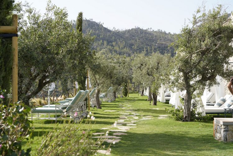 Jardins Tramuntana Son Bunyola Hotel Landscape Award 