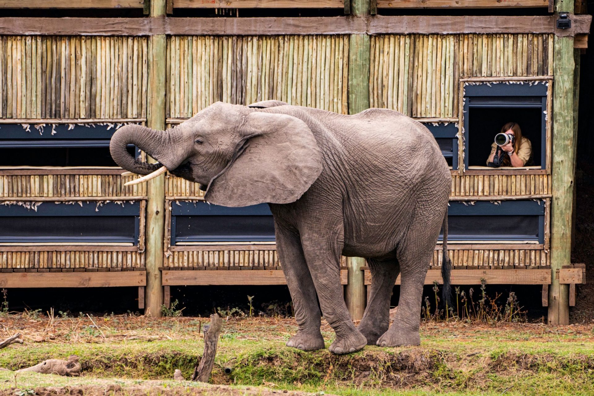 Best Luxury Wilderness Lodge in Zambia