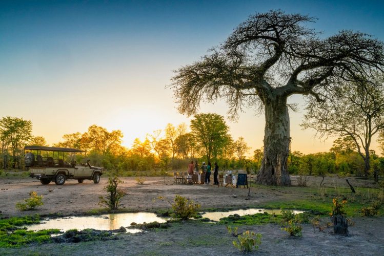 Best Luxury Wilderness Lodge in Zambia