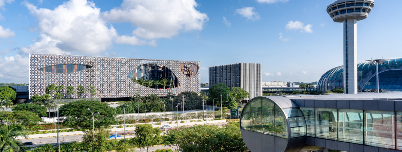 The Luxury of a Leash-Free Afternoon