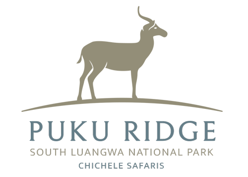 Puku Ridge
