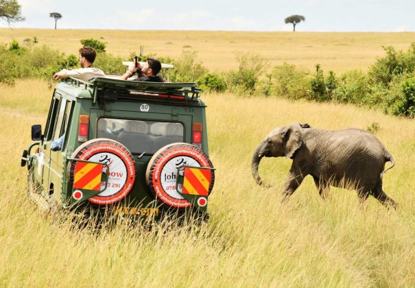 Johnbow Tours And Travel