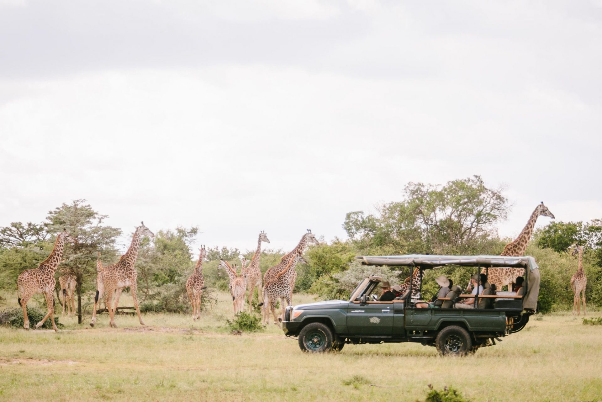 Travel Agencies and Tour Operators