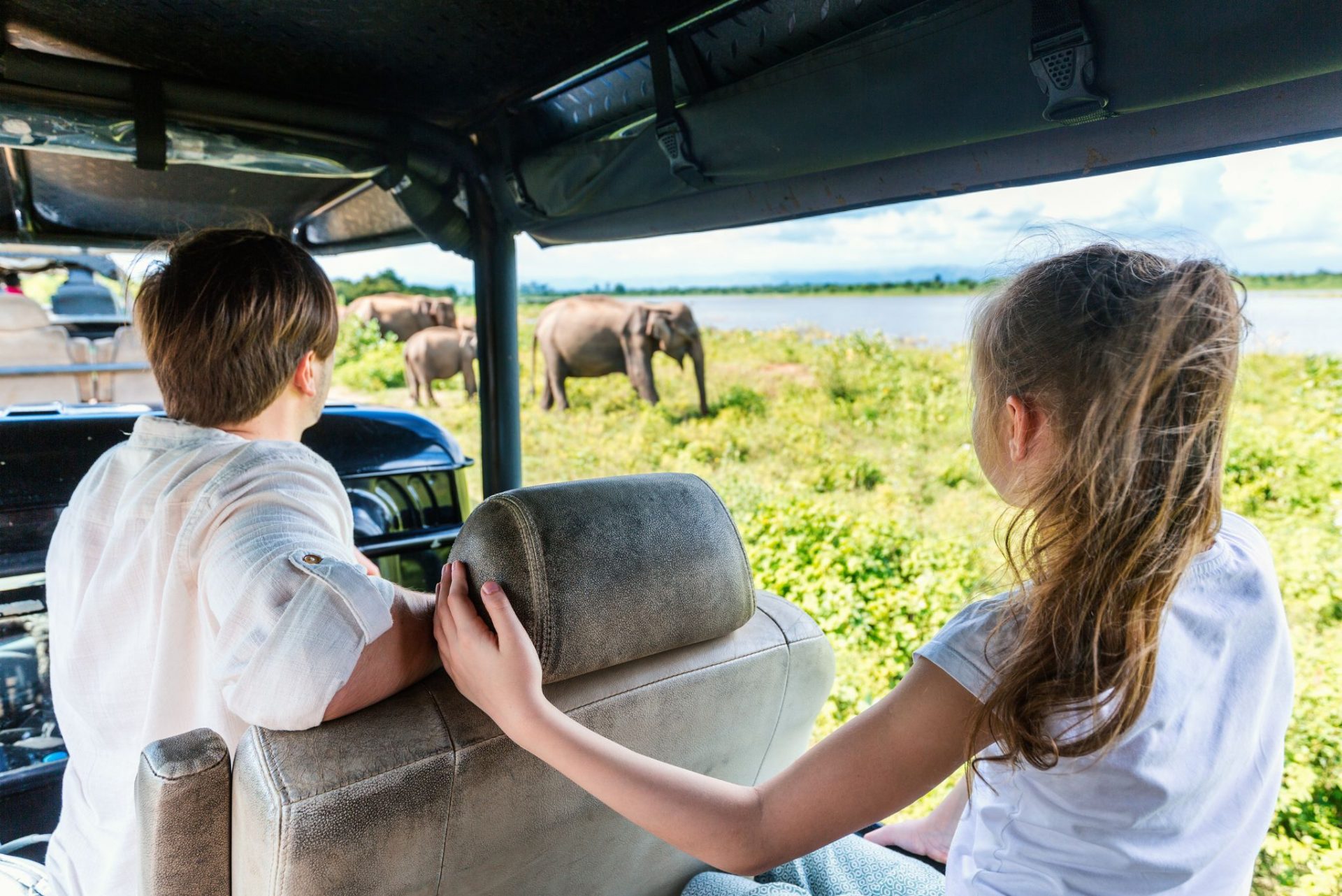 Travel Agencies & Tour Operators