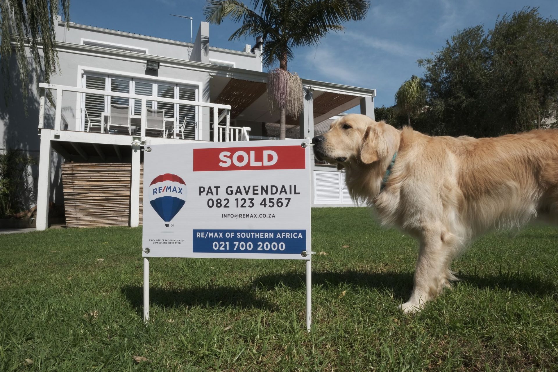 Real Estate Agency Network