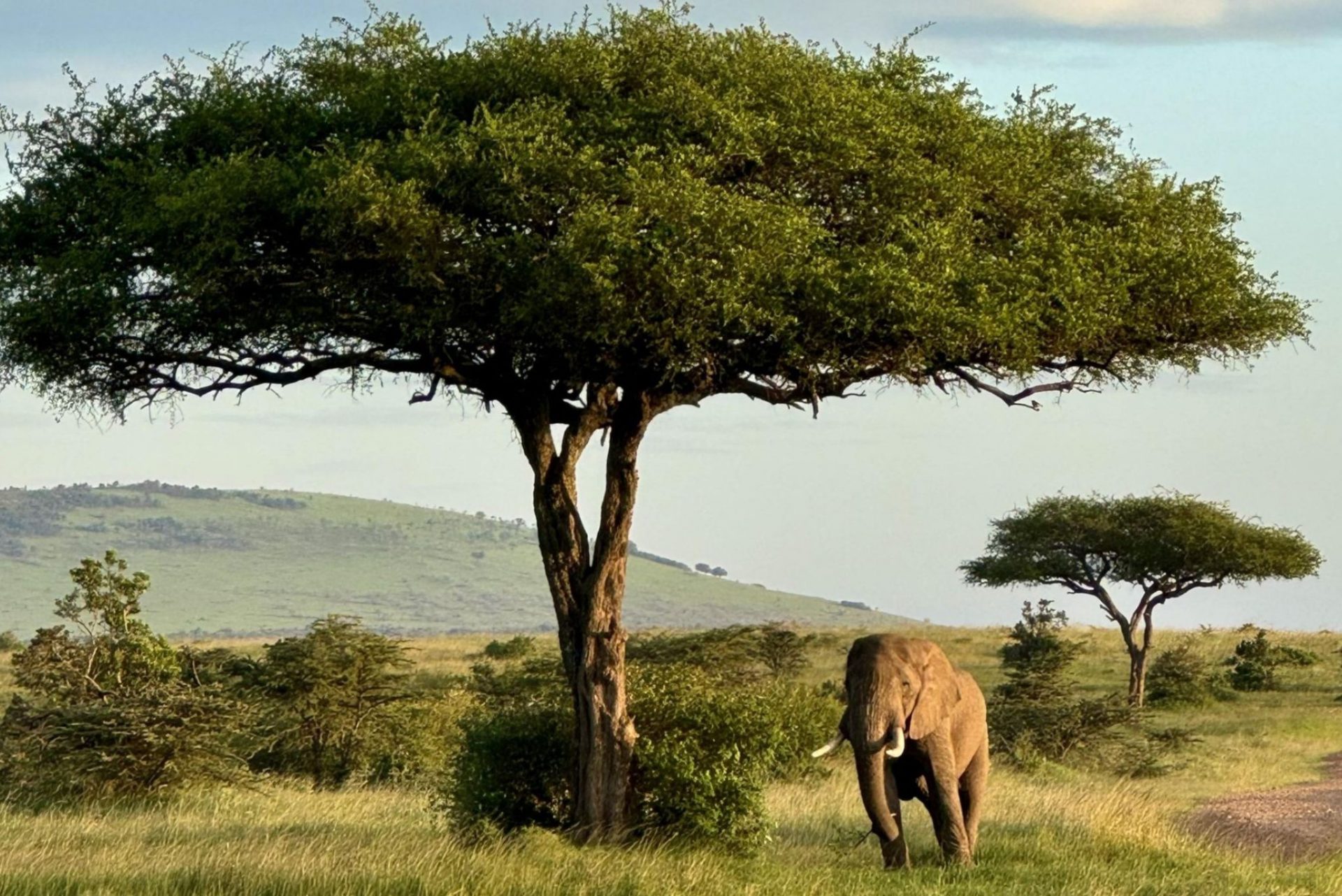 FM Luxury and Adventure Travel