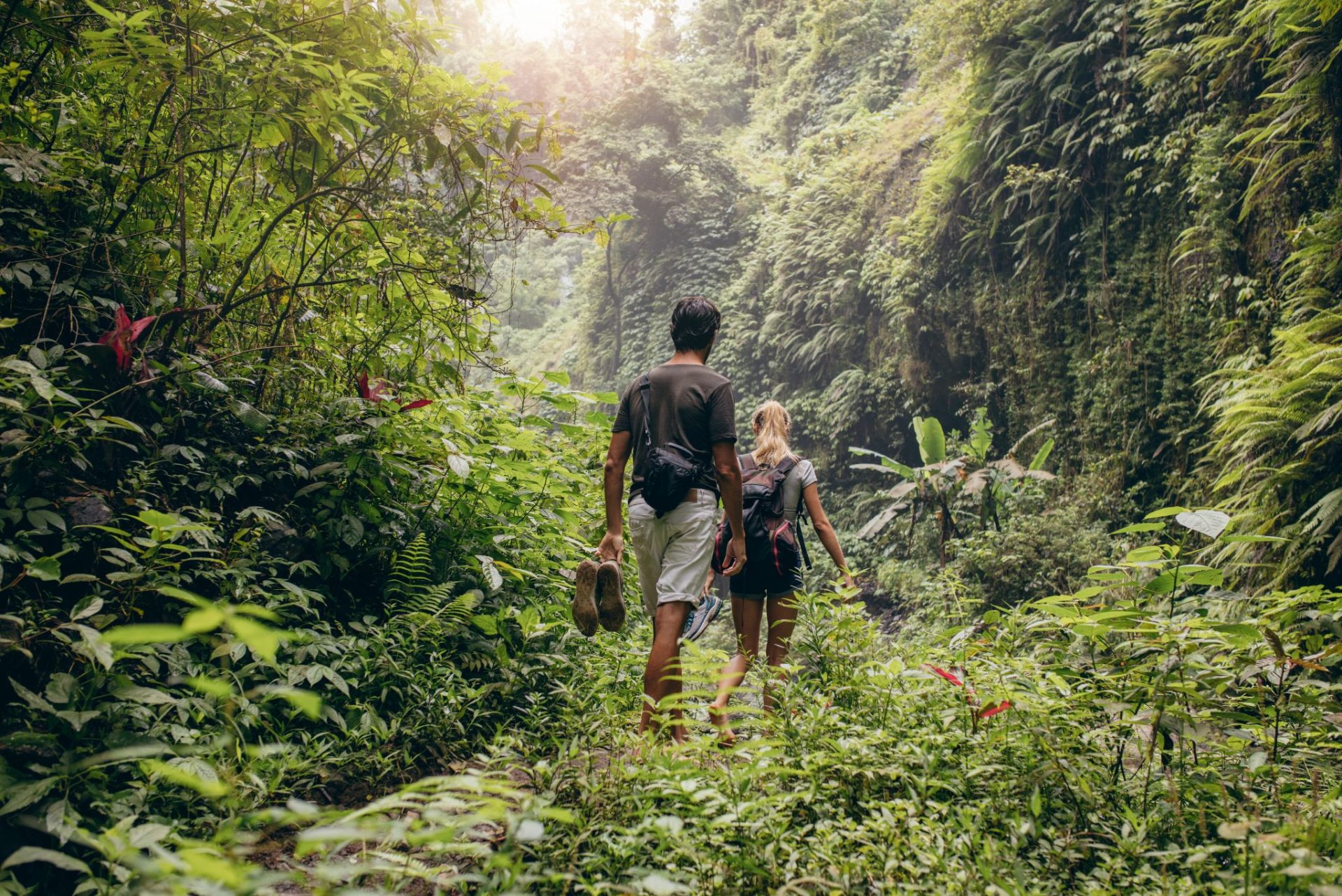 Travel Agencies & Tour Operators