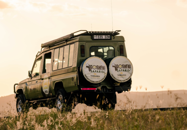 Gosheni Safaris