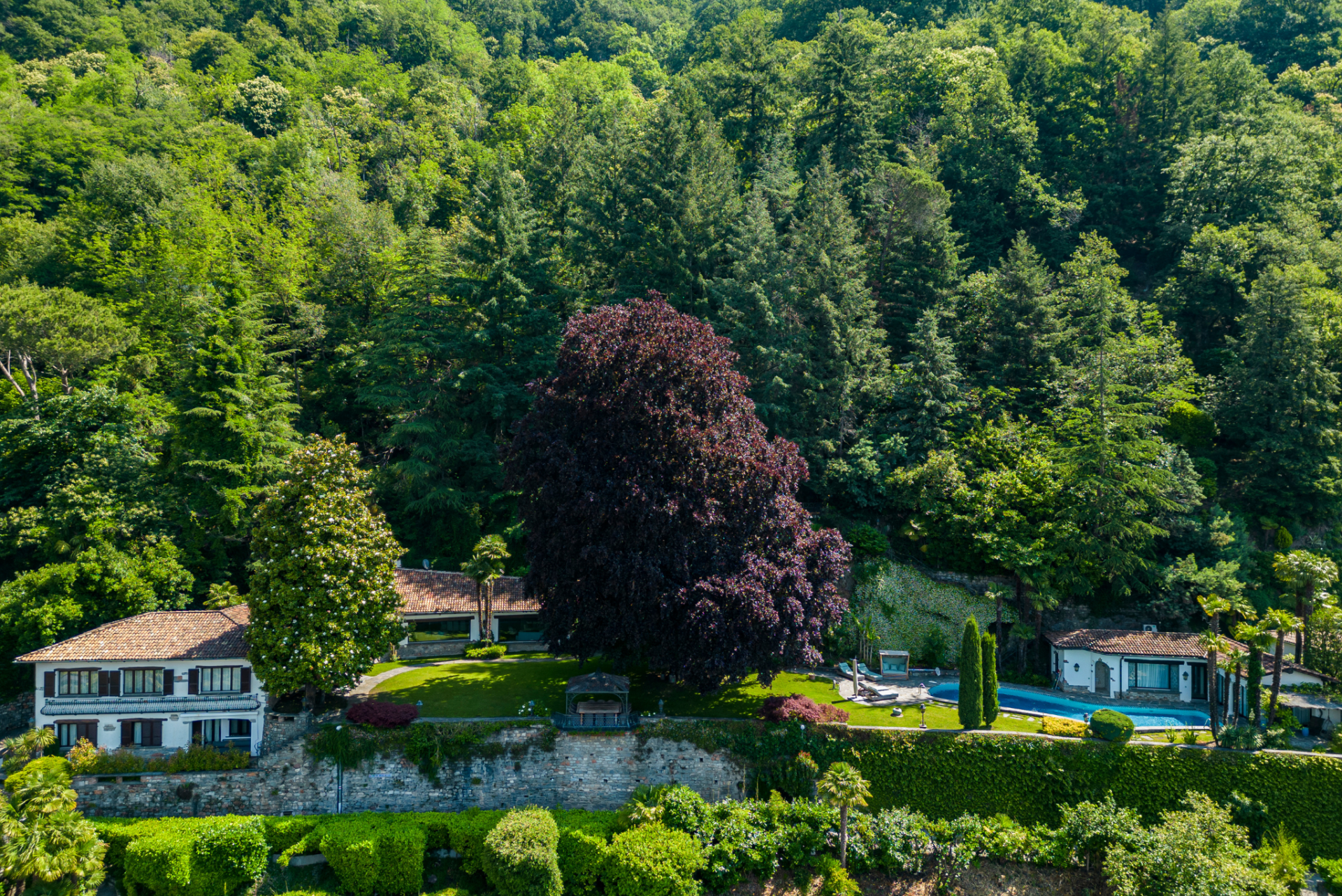 Deborah Fontana of Fontana Sotheby's International Realty