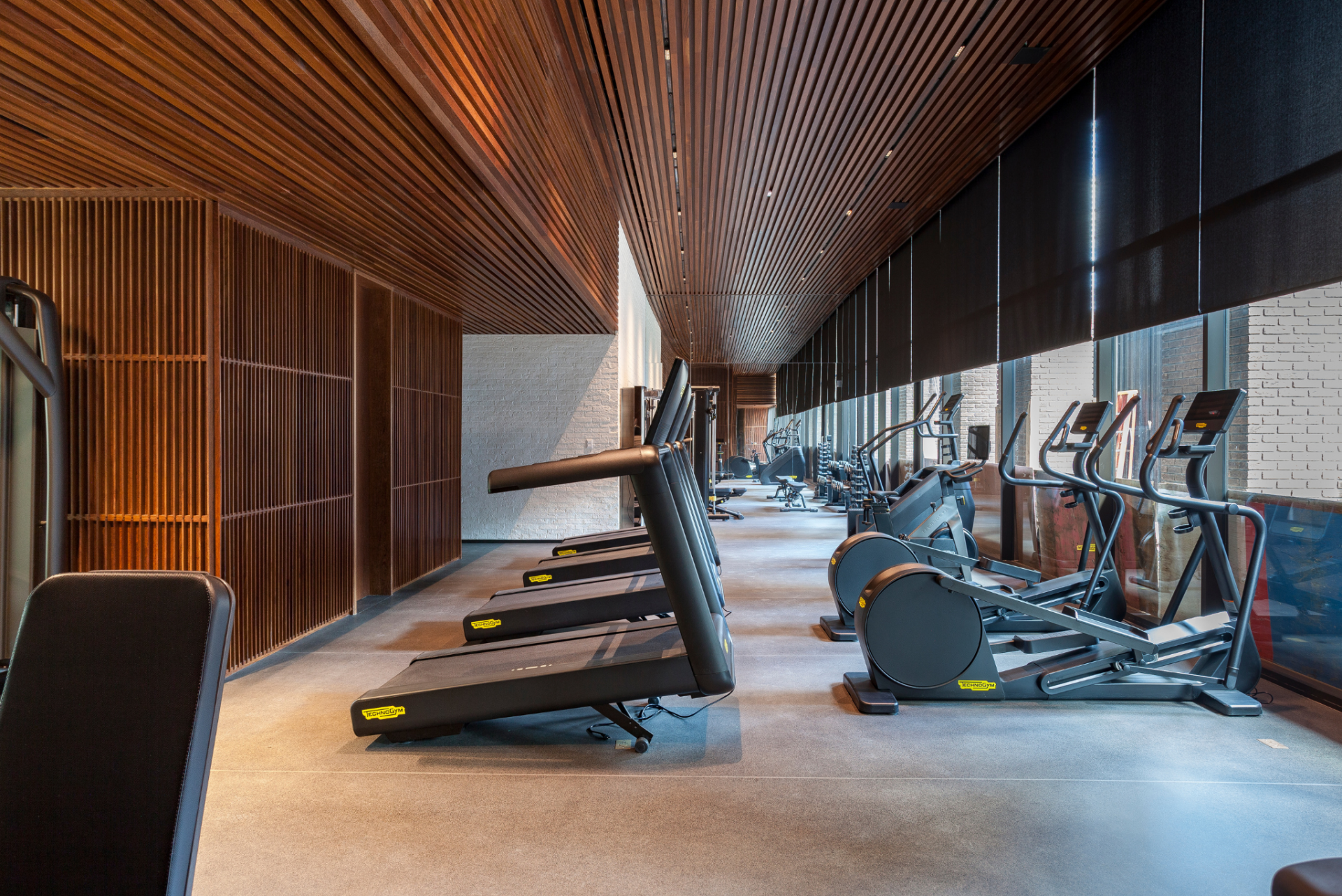 Benx | Bueno Netto