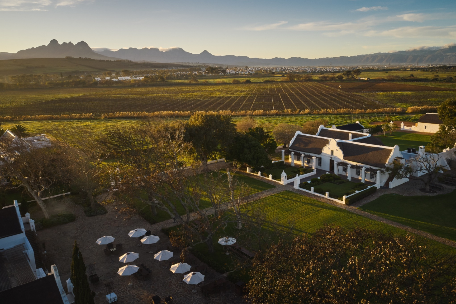 Vergenoegd Löw Wine Estate