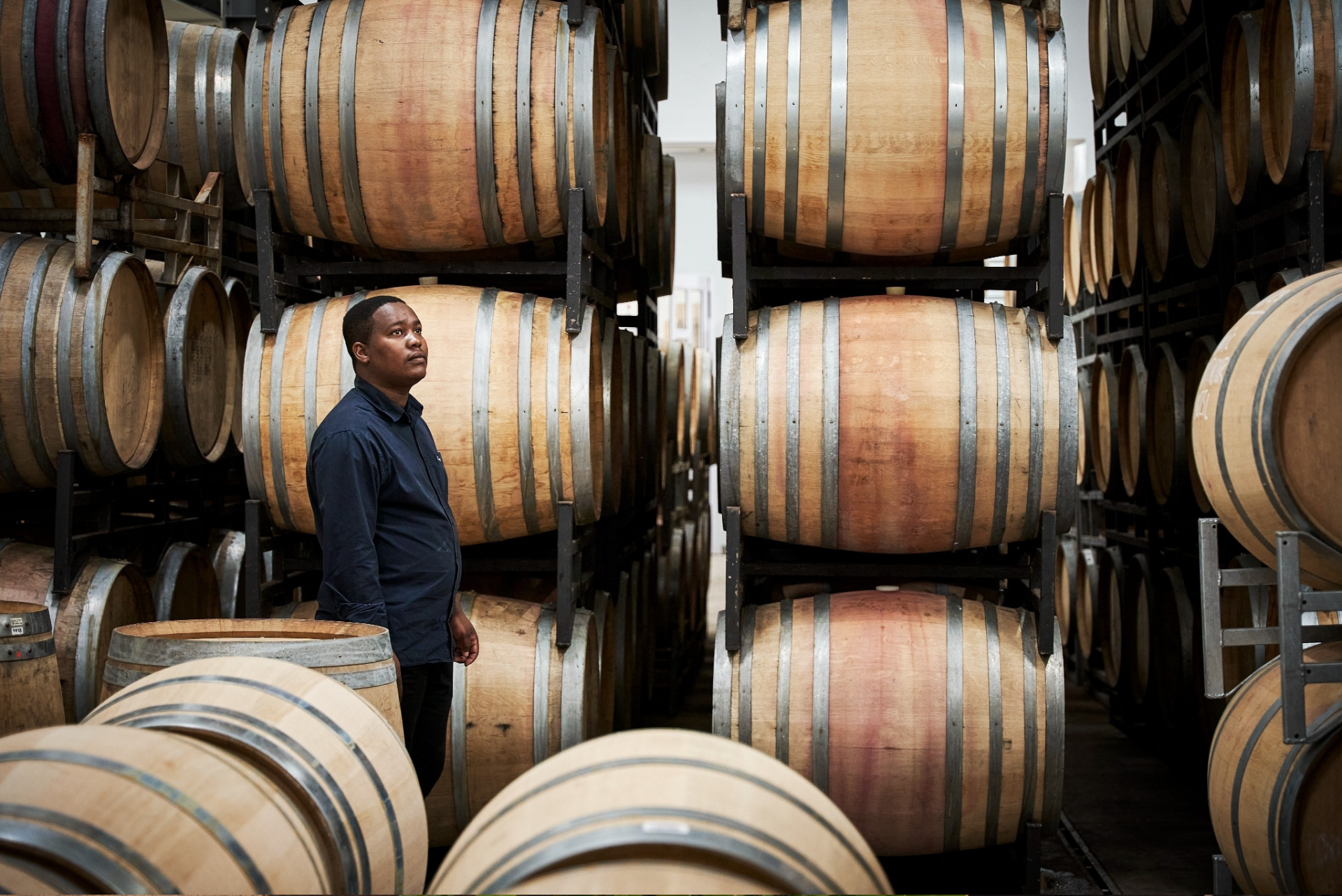 Vergenoegd Löw Wine Estate