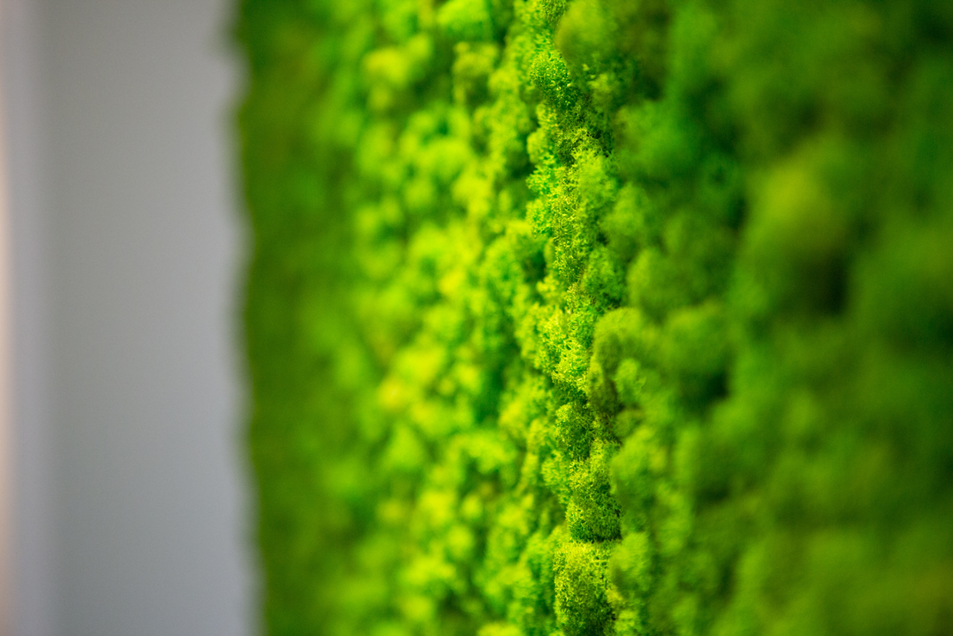 Eleonora Gentile Luxury Hair Spa