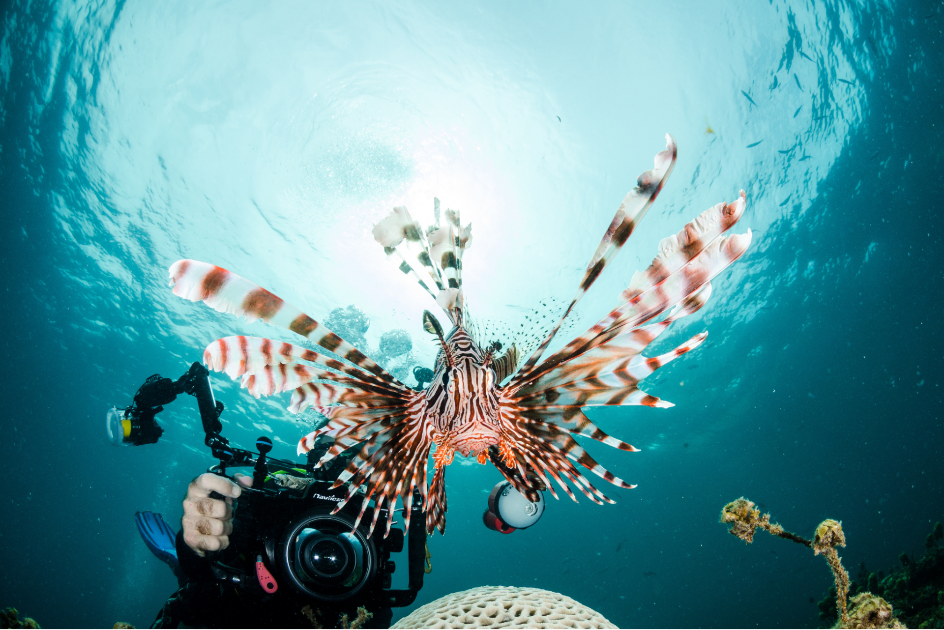 Loloata Island Resort