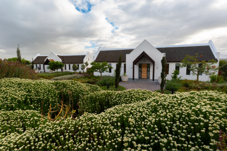 Vergenoegd Löw Wine Estate