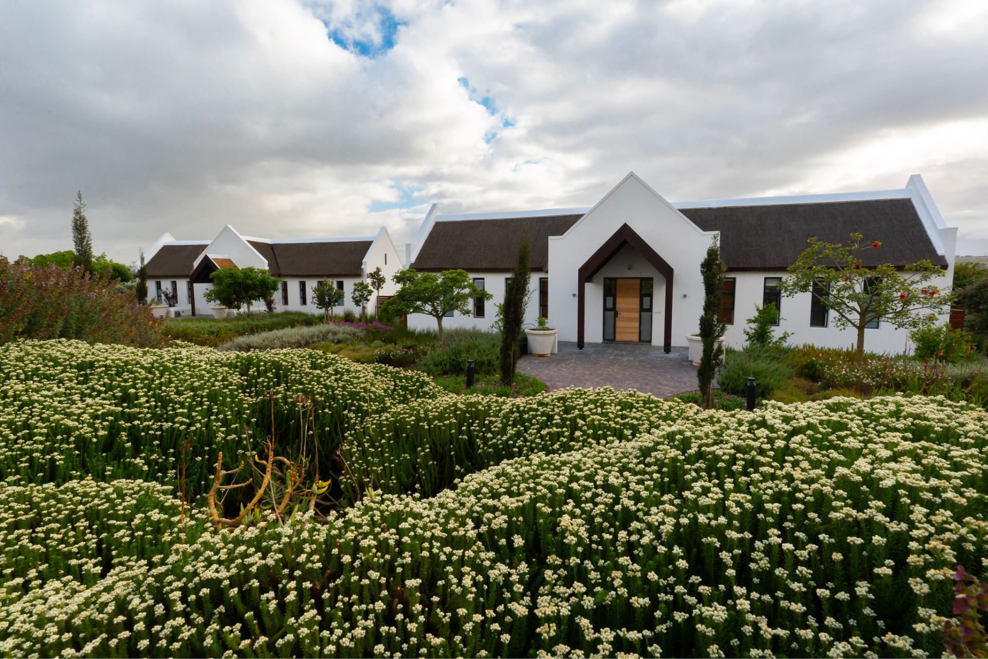 Vergenoegd Löw Wine Estate