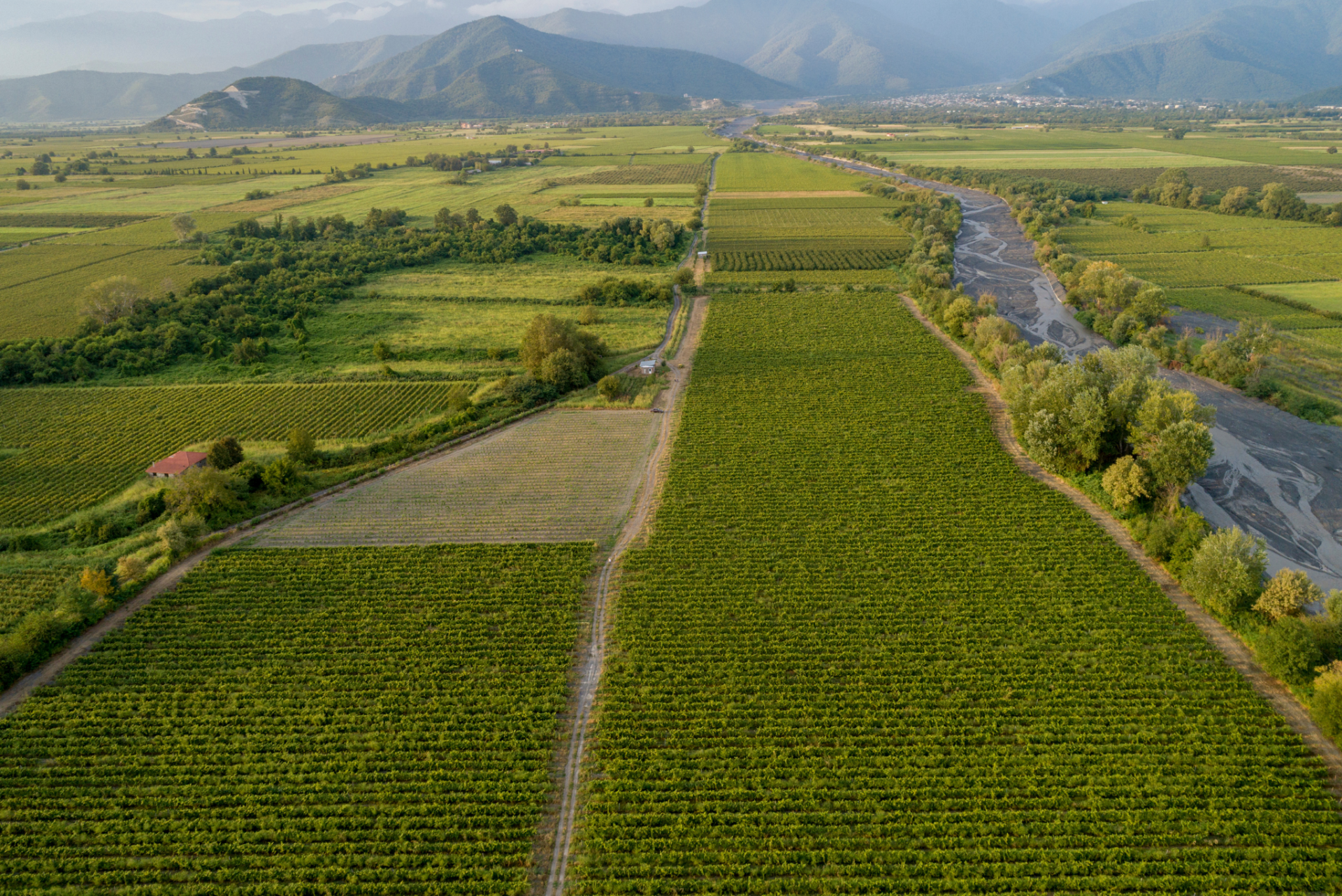 SHUMI Winery & Estate