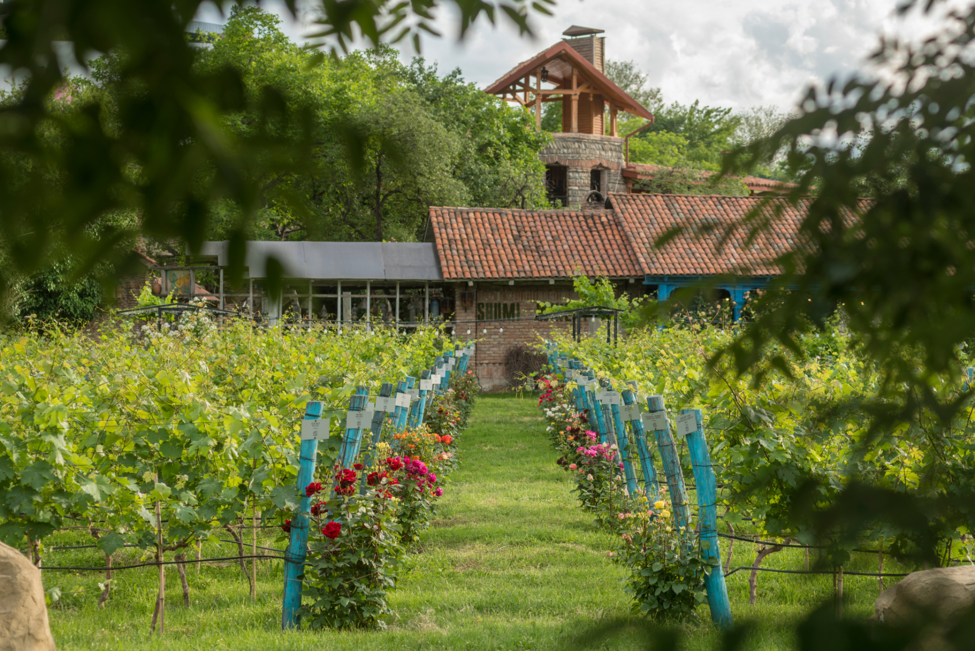 SHUMI Winery & Estate