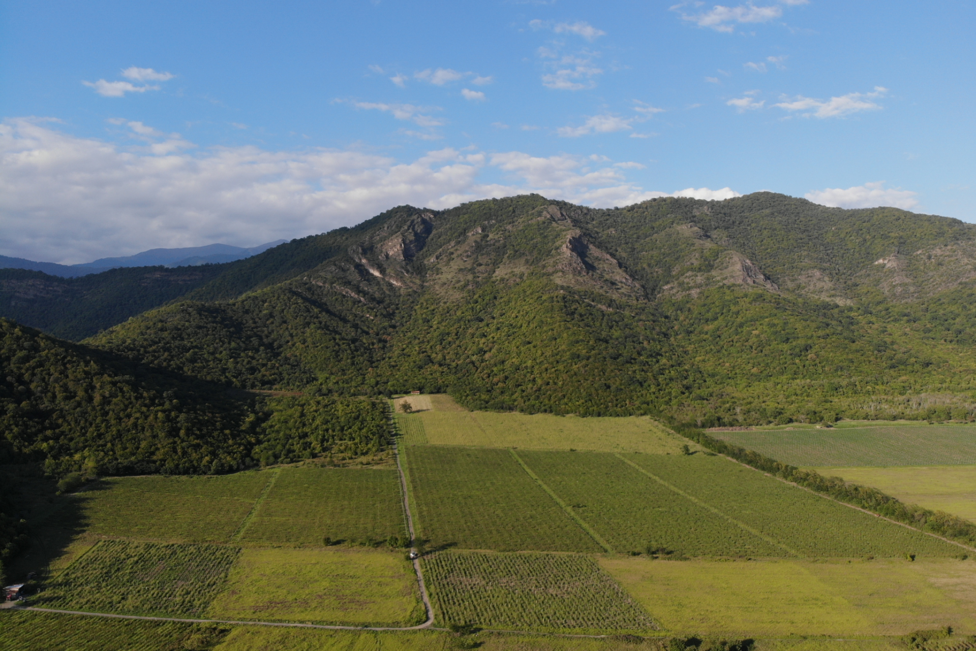 SHUMI Winery & Estate