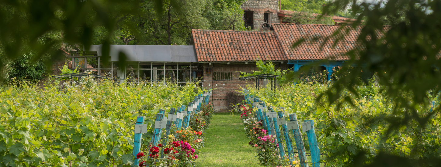 SHUMI Winery & Estate