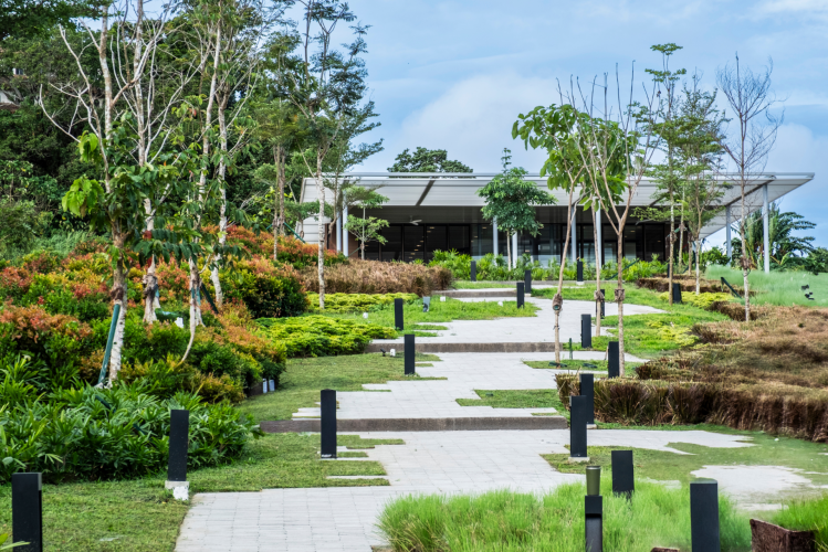 Clarq Landscape Design