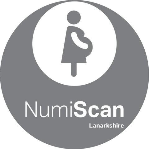 Numiscan Lanarkshire